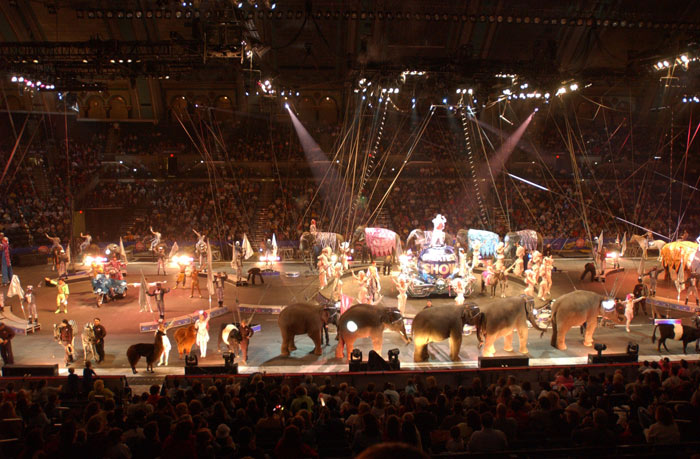 as Ringling Brothers and