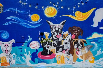 Good Dog Bar Mural on building. Come.Sit.Stay.