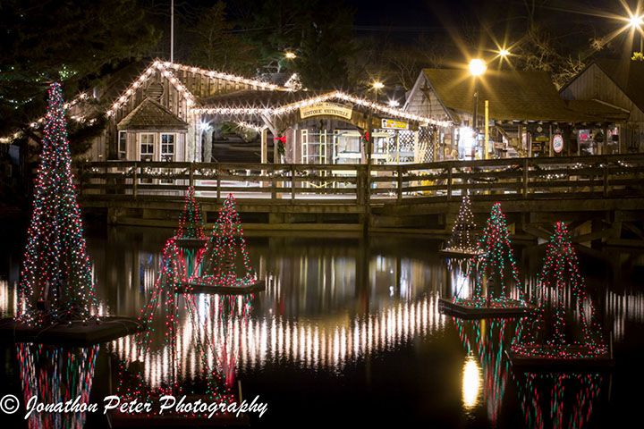 Holiday Light Show